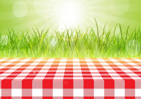Red and white tablecloth against a grassy sunny background