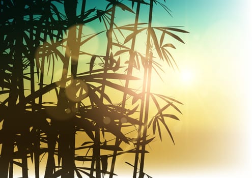 Silhouette of bamboo on a blurred sunlight background