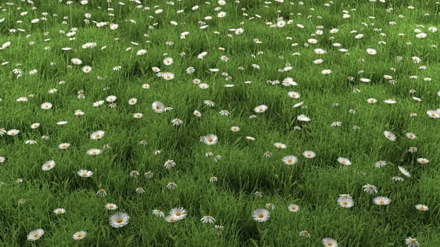 3D render of a flower landscape with daiies and buttercups