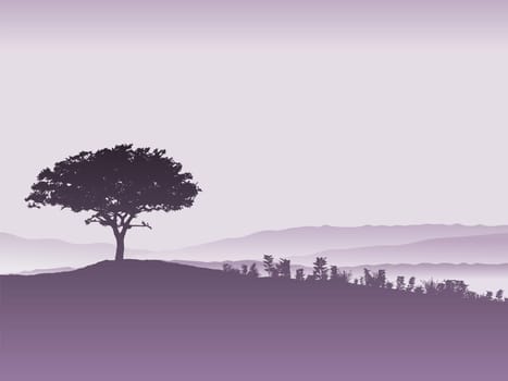 Silhouette of a tree landscape