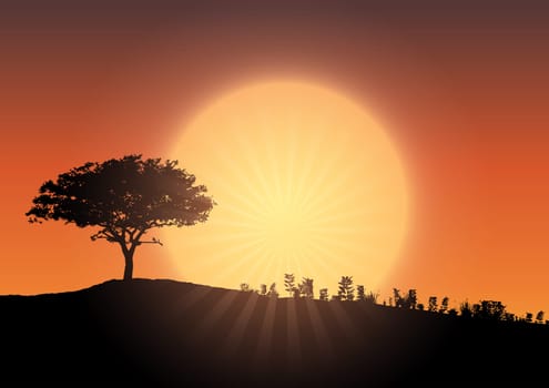 Silhouette of a tree landscape against a sunset sky