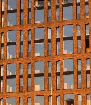 The windows in an apartment building as a texture