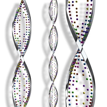 3D render of DNA strands on a white background