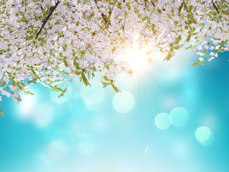3D render of a Cherry blossom leaves on a blue sky background