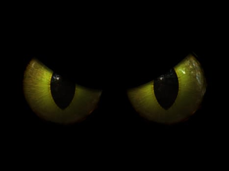 3D render of a Halloween background with evil eyes