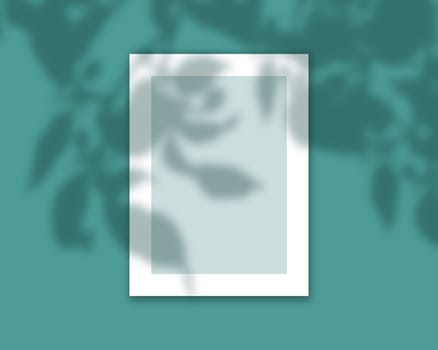 3D render of a book cover mock up with shadow overlay