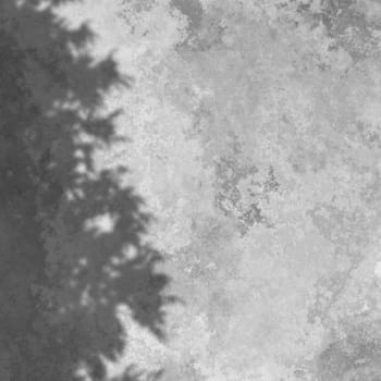 3D render of a concrete texture background with tree shadow overlay