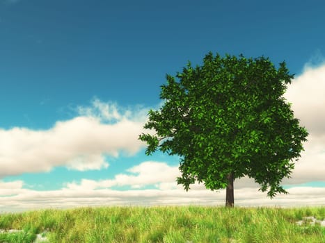 3D render of a countryside landscape with tree against blue sky