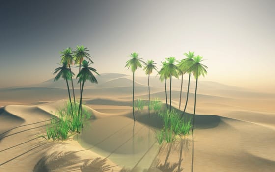 3D render of a desert oasis landscape with palm trees