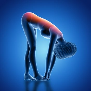 3D render of a female figure in bent over position with back highlighted