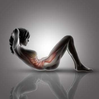 3D render of a female figure in sit up pose with muscles highlighted