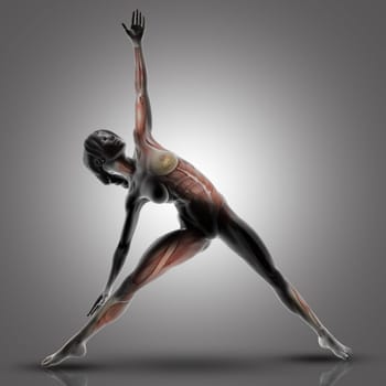 3D render of a female figure in triangle yoga pose with muscles used highlighted
