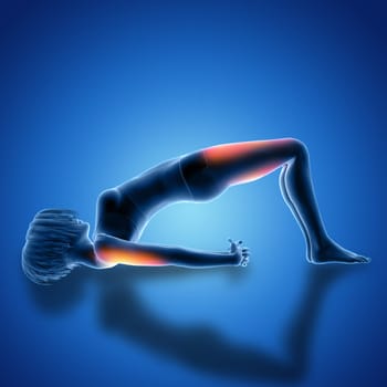 3D render of a female figure in bridge pose with muscles used highlighted
