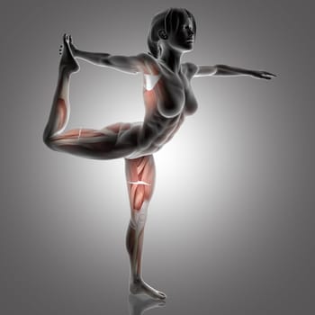 3D render of a female figure in Lord of the Dance yoga pose with muscles used highlighted