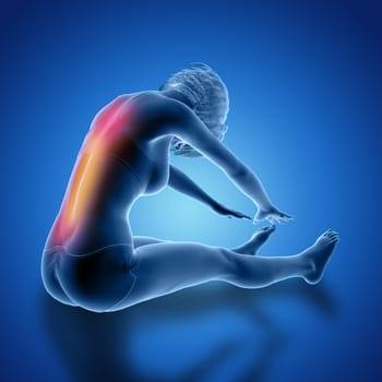 3D render of a female in seated stretch pose with back muscles used highlighted