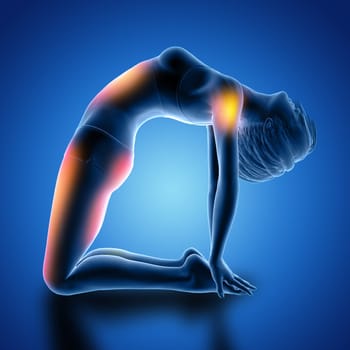 3D render of a female figure in camel pose with muscles used highlighted