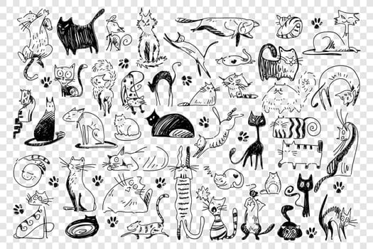 Cats doodle set. Collection of hand drawn childish patterns domesticated animals kitties kitten pets in different poses isolated on white background. Human friends vector illustration for kids.