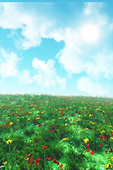3D render of a flower landscape with poppies and buttercups