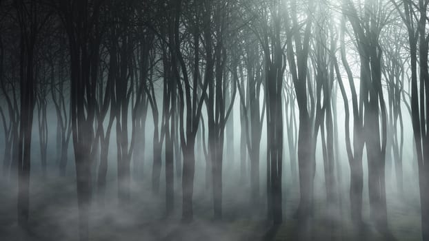 3D render of a foggy forest landscape