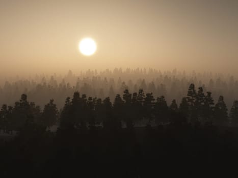 3D render of a foggy tree landscape