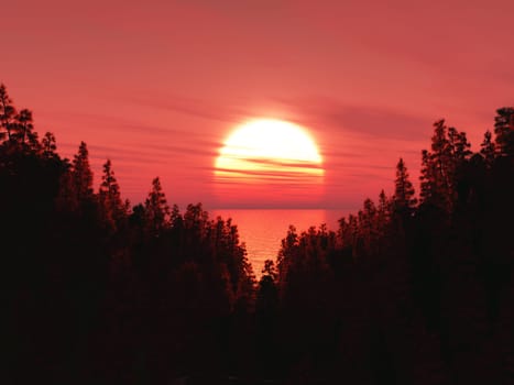 3D render of a forest landscape against a sunset sky