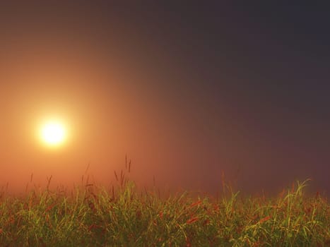 3D render of a grassy landscape against sunset sky