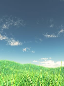 3D render of a grassy landscape with blue sky