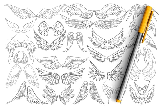 Bird wings patterns doodle set. Collection of hand drawn elegant wings of different birds in style of tattoo isolated on transparent background. Illustration of decorative wings concept