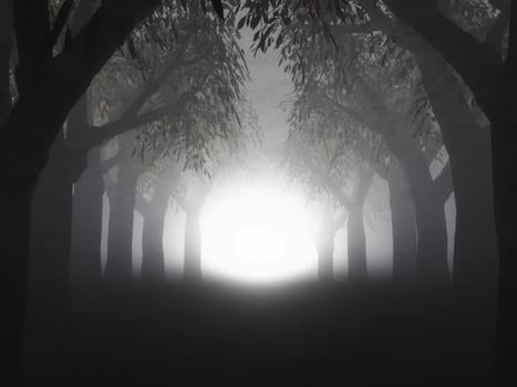 3D render of a landscape of a foggy forest