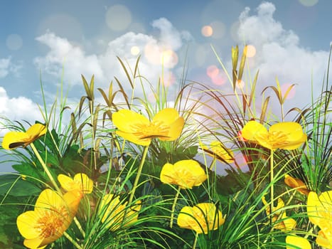 3D render of a landscape of a close up of buttercups and grass