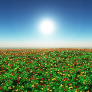 3D render of a landscape of a poppy field