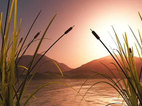 3D render of a landscape with reeds against sunset mountains