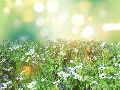3D render of a landscape of daisies in grass