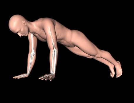 3D render of a male figure in press up pose with arm bones highlighted