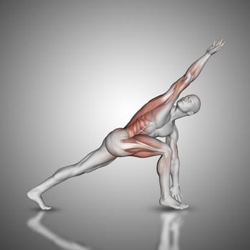 3D render of a male figure in revolved side angle pose with muscles used highlighted