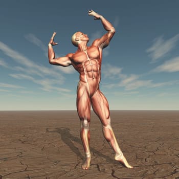 3D render of a male body builder with muscle map in barren landscape