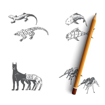 Bio robots - robot fish, dog, spider and gecko vector concept set. Hand drawn sketch isolated illustration