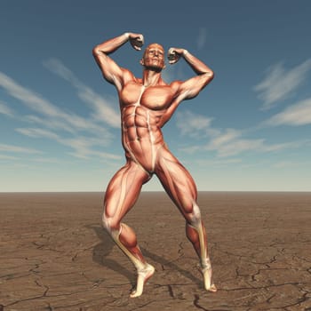 3D render of a male body buildern with muscle map in barren landscape