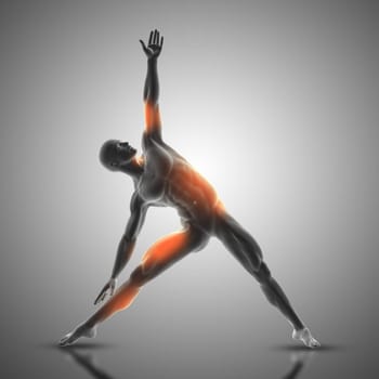 3D render of a male figure in triangle pose with muscles used highlighted