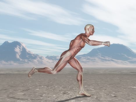 3D render of a male figure with muscle map running in landscape