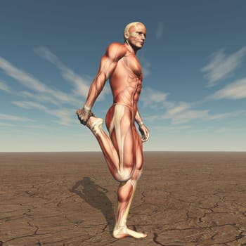 3D render of a male figure with muscle map in stretch pose in barren landscape