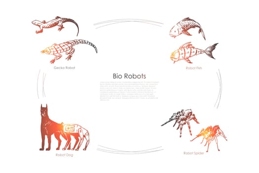 Bio robots - robot fish, dog, spider and gecko vector concept set. Hand drawn sketch isolated illustration
