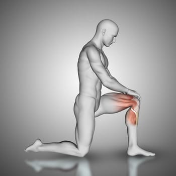 3D render of a male figure with knee muscles highlighted