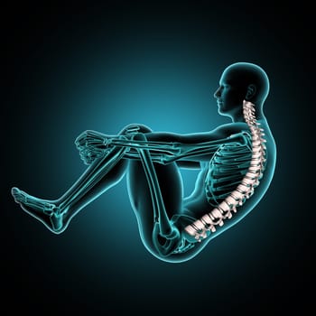 3D render of a male medical figure in crunch position with spine highlighted