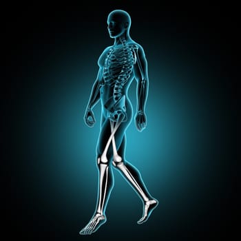 3D render of a male medical figure walking with leg bones highlighted