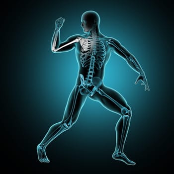 3D render of a male medical figure with arm raised and arm bones highlighted