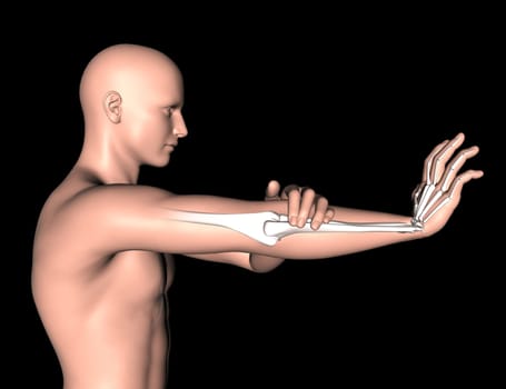 3D render of a male medical figure with arm bones highlighted