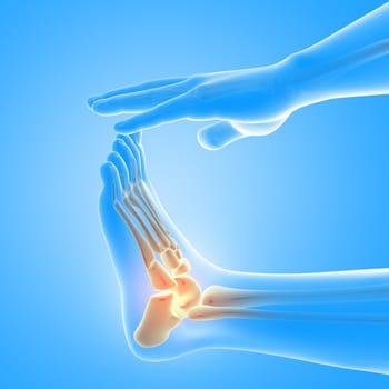 3D render of a male medical figure with close up of foot with ankle bones highlighted
