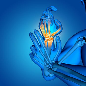 3D render of a male medical figure with close up of hand bones
