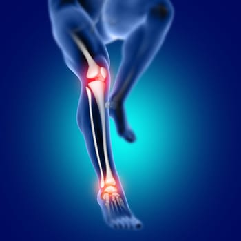 3D render of a male medical figure with knee and ankle bone highlighted